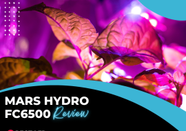 Mars Hydro FC6500 Review