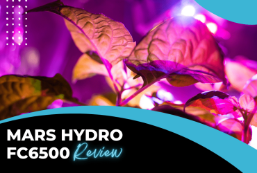 Mars Hydro FC6500 Review