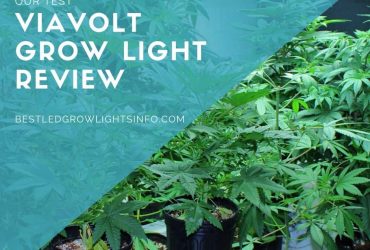 Viavolt Grow Light Review