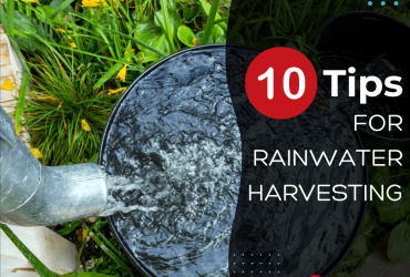 10 Tips for Rainwater Harvesting