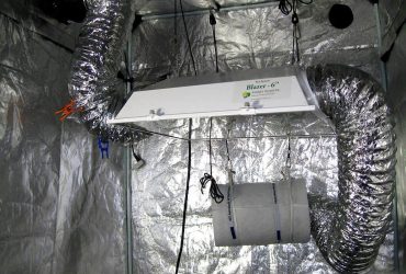 Grow Tent Setup Guide for Beginners