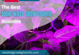 The Best 1000 Watt Grow Lights Available
