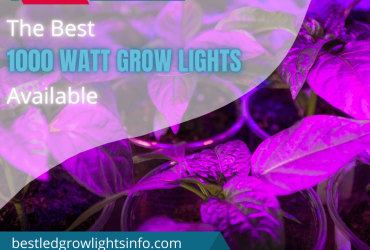 The Best 1000 Watt Grow Lights Available