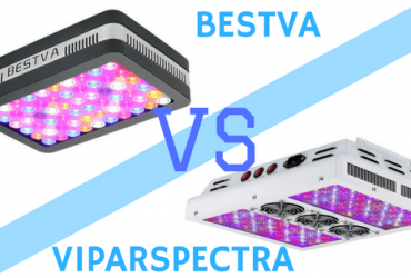 Bestva vs Viparspectra: LED Grow Light Comparison