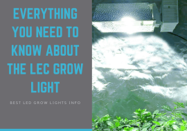 Everything You Need to Know About the LEC Grow Light