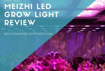 Meizhi LED Grow Light Review