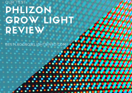 Phlizon Grow Light Review