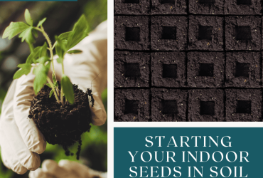 Starting Your Indoor Seeds in Soil Blocks