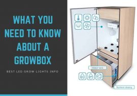 What You Need to Know About a Grow Box for Weed and Other Plants