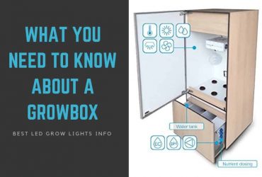 What You Need to Know About a Grow Box for Weed and Other Plants