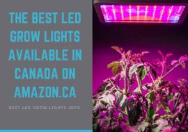 The Best LED Grow Lights Available in Canada