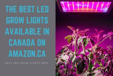 The Best LED Grow Lights Available in Canada