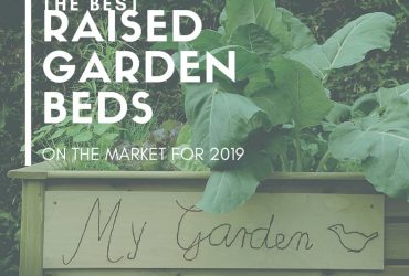 The Best Raised Garden Beds on the Market 2019