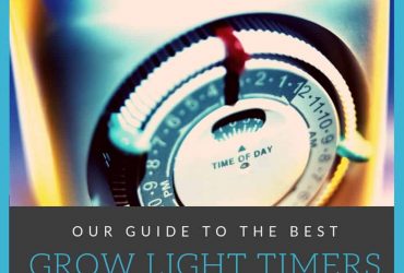The Best Timer for Grow Lights – 6 Top Choices