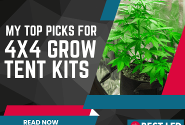 My Top Picks for 4×4 Grow Tent Kits