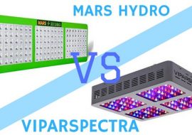 Viparspectra vs Mars Hydro: LED Grow Light Comparison